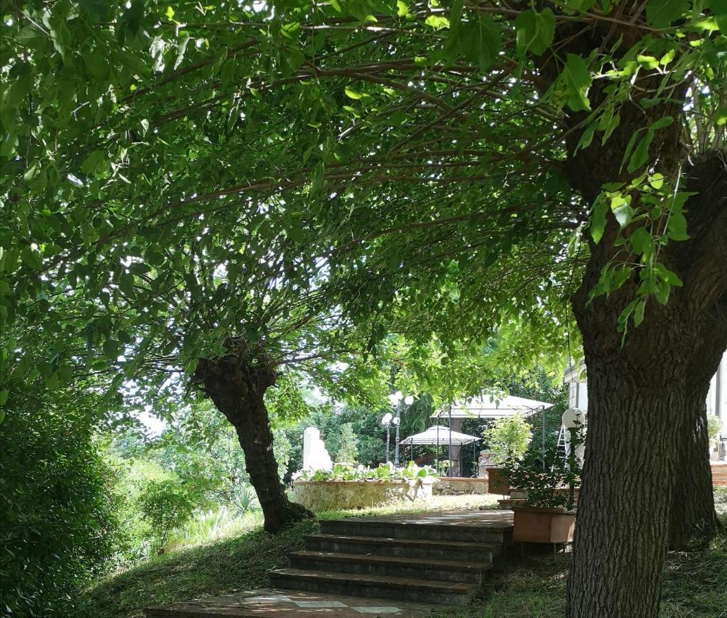 Maison Tuscany Bed&Breakfast Sinalunga Extérieur photo