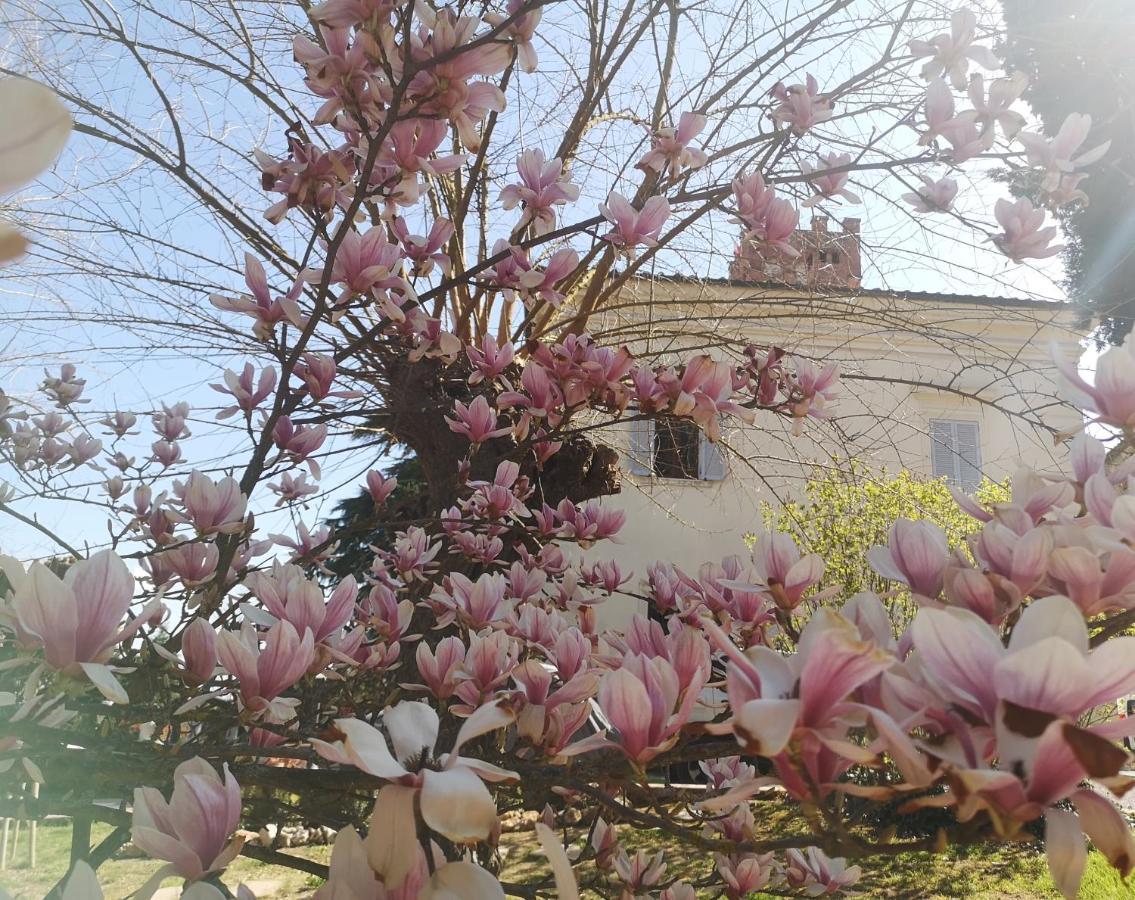 Maison Tuscany Bed&Breakfast Sinalunga Extérieur photo